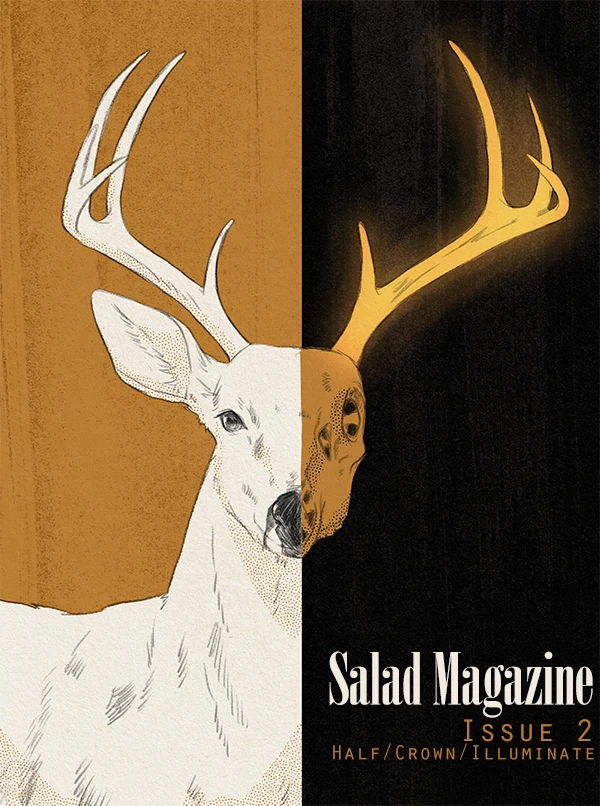 Salad Magazine Issue 2