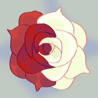 a digital painting of a two coloured rose, white on one half and red on the other.