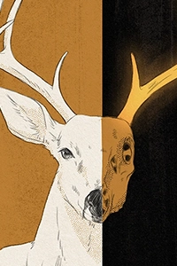 Salad Magazine Issue 2