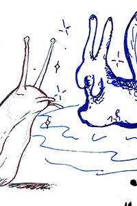 Salad Magazine Issue 3